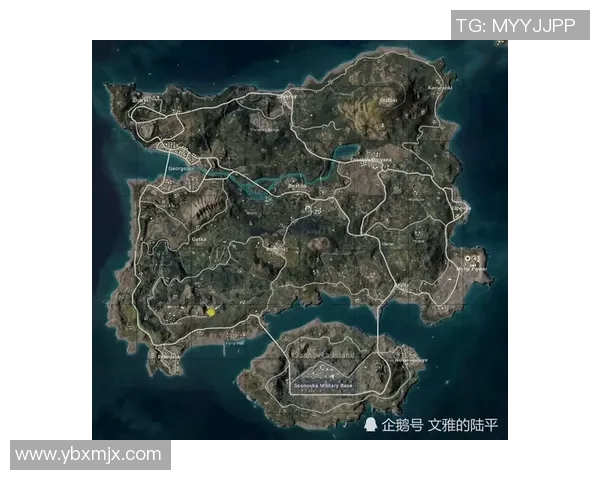 电竞新闻和平精英战术BLG反击体系的全面解析与实战应用探讨